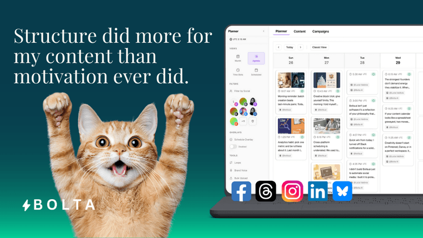 Illustration showing a creator content workflow dashboard with a playful cat raising its paws and the quote “Structure did more for my content than motivation ever did,” representing how structured planning and scheduling in Bolta.ai helps creators post consistently across social media platforms.